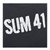 2000s Sum 41 Skull and Crossbones Tour Tee