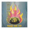 1998 Third Eye Blind Bonfire Tour Tee